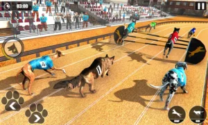 Cách Chơi Game Nhanh Đua Chó Tại AE888 Siêu Kịch Tính Và Thú Vị