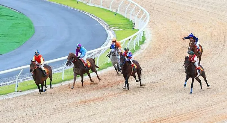 Tìm Hiểu Cá Cược Đua Ngựa AE888 Hấp Dẫn Và Thú Vị